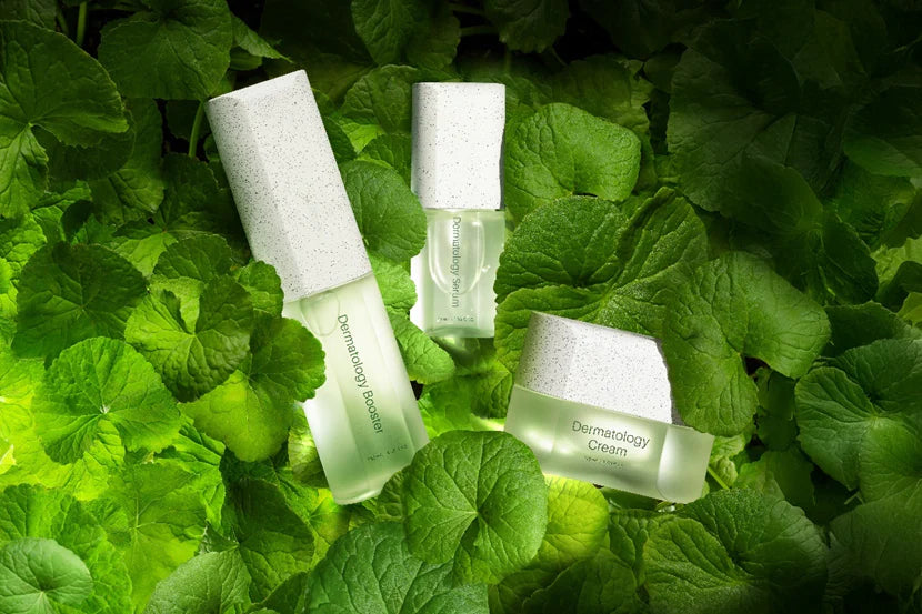 ICD Dermatology The Starter Set